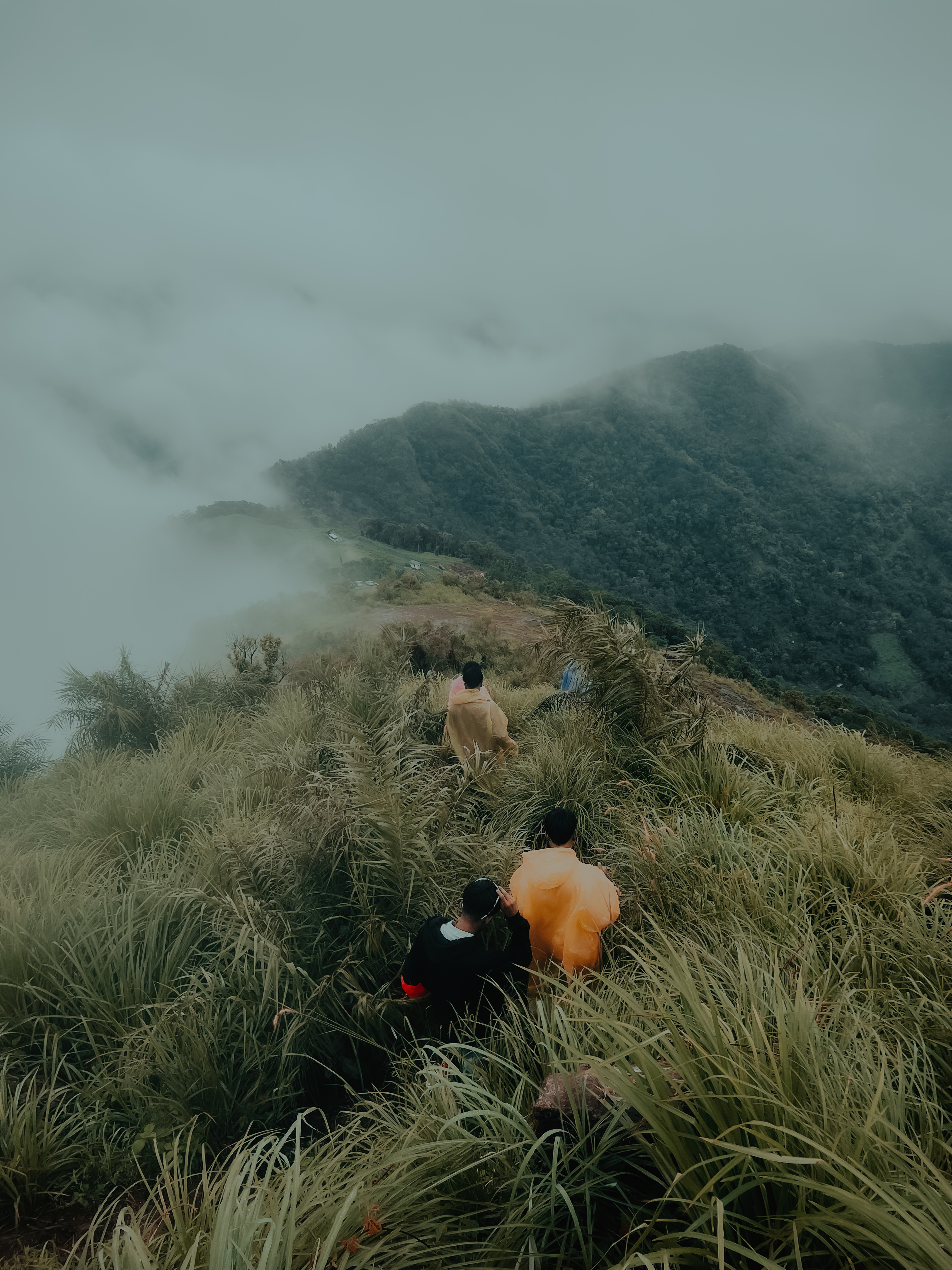 Moody Film Lightroom Preset
